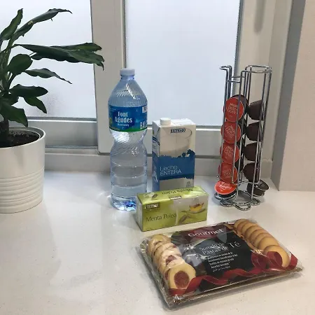 Cerdanyola Centro Apartman *